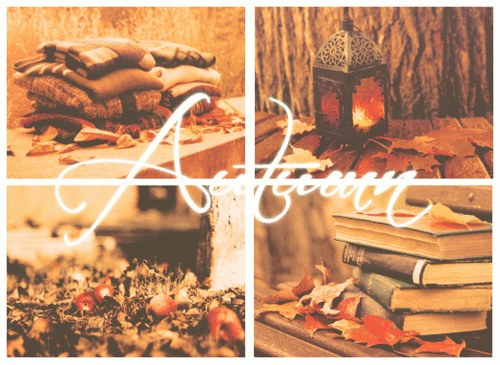 35318-Autumn-Gif